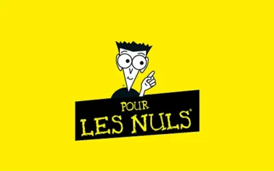 SEO pour les nuls : le référencement naturel expliqué simplement