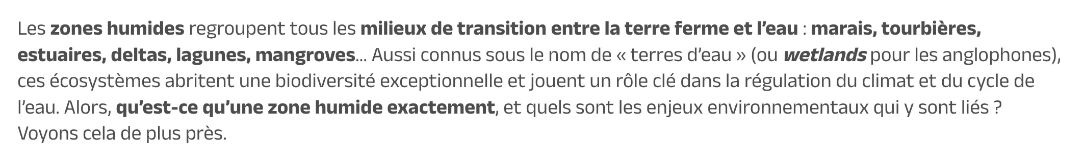 Exemple d'introduction SEO pour un article de type définition ciblant le mot-clé "zones humides".